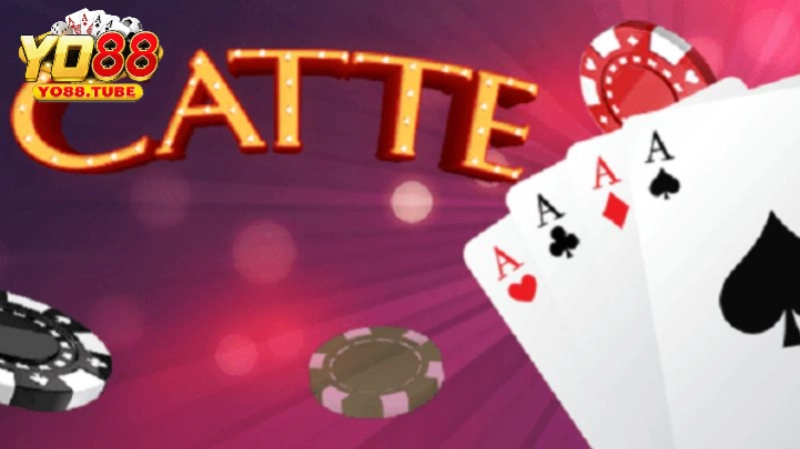 Bài Catte - Tìm Hiểu Về Trò Chơi Và Kinh Nghiệm Thắng Lớn