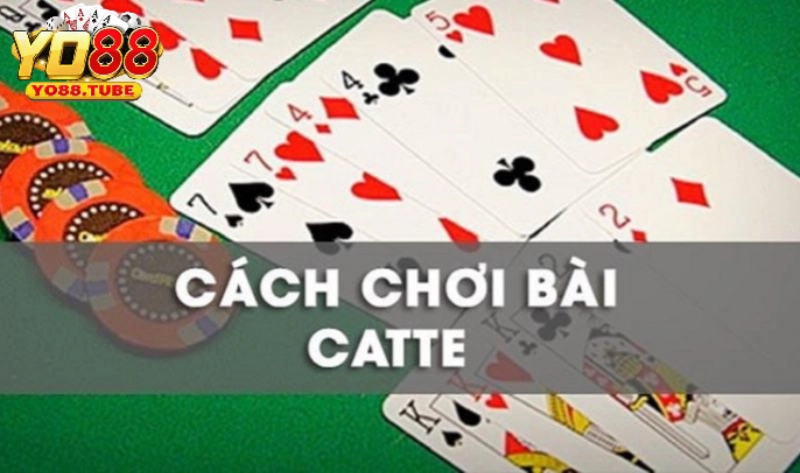 Bài Catte - Tìm Hiểu Về Trò Chơi Và Kinh Nghiệm Thắng Lớn