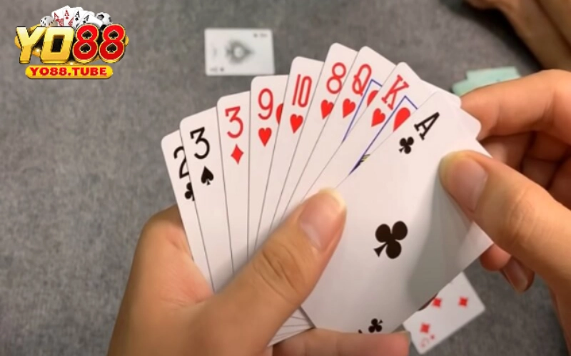 Game bài phỏm - luật và bí kíp thắng đậm từ cao thủ