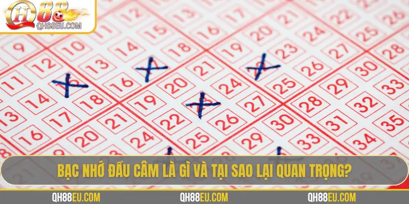 Bạc Nhớ Đầu Câm: Giải Mã Khái Niệm Và Ứng Dụng Trong Lô Đề Tại QH88