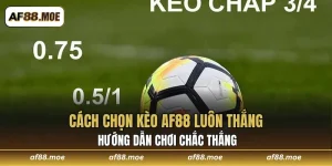 Kinh Nghiệm Cá Cược Siêu Đỉnh Cùng Nhà Cái AF88 Năm 2026