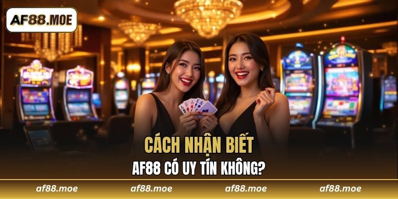 AF88 Có Uy Tín Không? Phân Tích Theo Góc Nhìn Toàn Diện Nhất