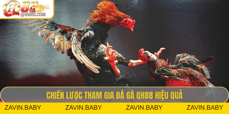 Đá Gà QH88 – Trải Nghiệm Cá Cược Sôi Động Cho Người Chơi Đam Mê