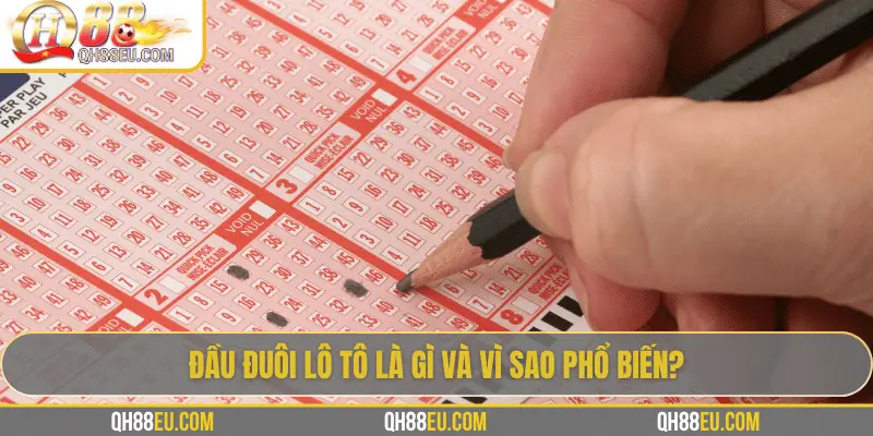 Đầu Đuôi Lô Tô: Cách Chơi Và Kinh Nghiệm Thực Tế Từ Chuyên Gia QH88