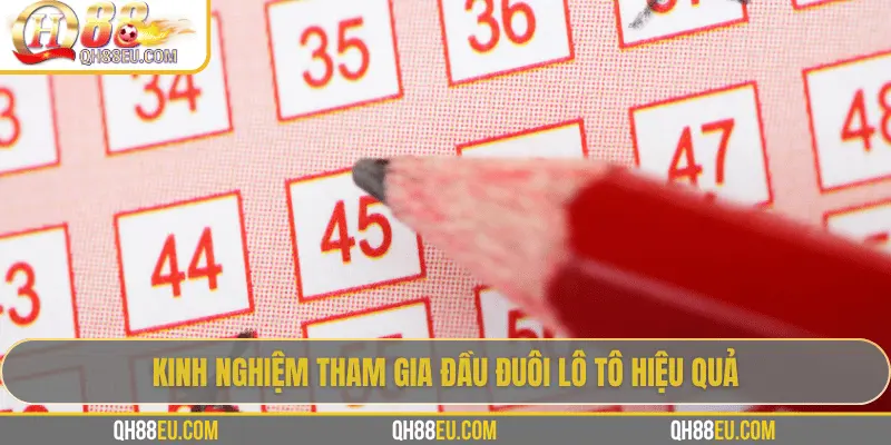 Đầu Đuôi Lô Tô: Cách Chơi Và Kinh Nghiệm Thực Tế Từ Chuyên Gia QH88