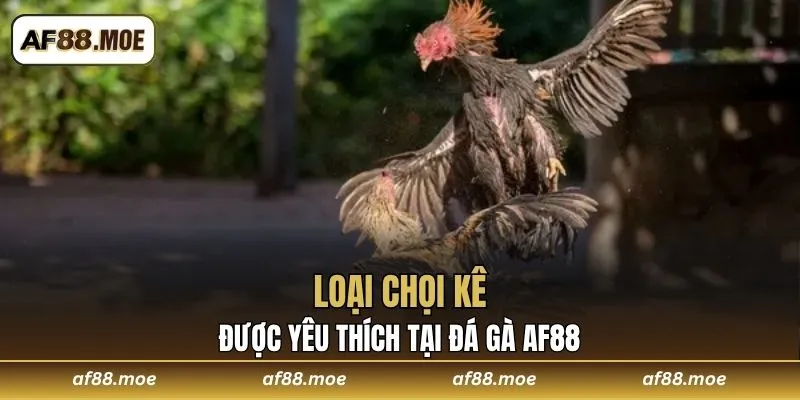 Đá Gà AF88 Sảnh Giải Trí Đỉnh Cao Dành Cho Mọi Thành Viên