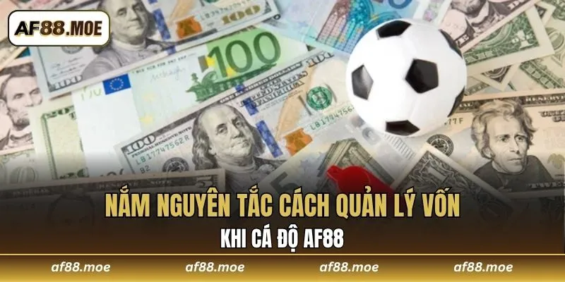 Cách Quản Lý Vốn Khi Cá Độ AF88 Luôn An Toàn Và Hiệu Quả