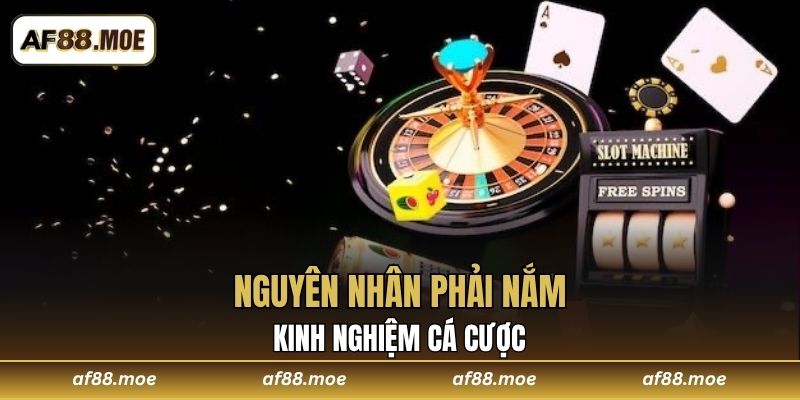 Kinh Nghiệm Cá Cược Siêu Đỉnh Cùng Nhà Cái AF88 Năm 2026
