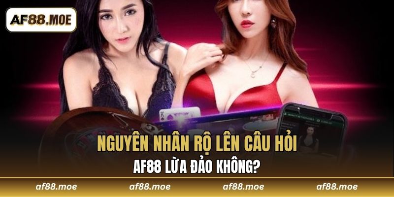 AF88 Lừa Đảo Không? Giải Mã Lời Đồn Siêu Thất Thiệt