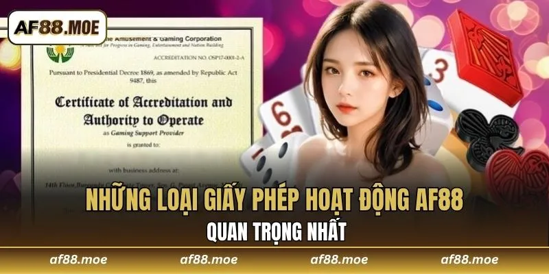 Giấy Phép Hoạt Động AF88 – Khẳng Định Đẳng Cấp Toàn Cầu
