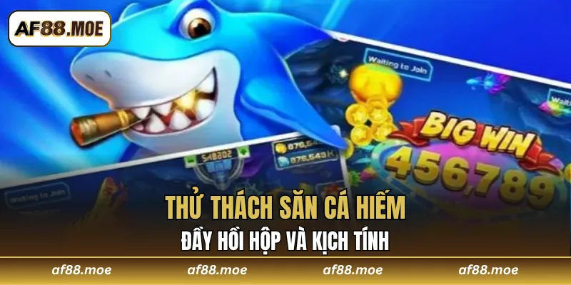 Bắn Cá AF88 - Thử Thách Giải Trí Đỉnh Cao Cho Hội Viên