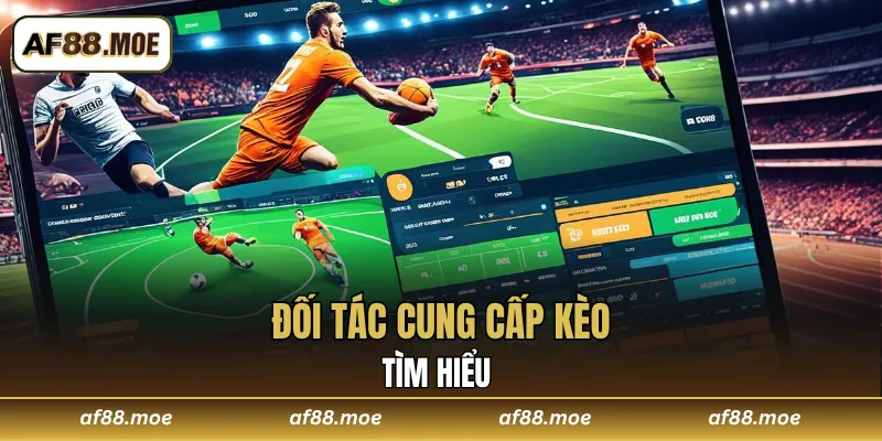 Thể Thao AF88 - Tham Gia Trải Nghiệm Kèo Cược Đỉnh Cao