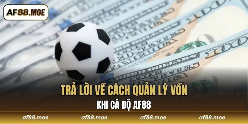 Cách Quản Lý Vốn Khi Cá Độ AF88 Luôn An Toàn Và Hiệu Quả
