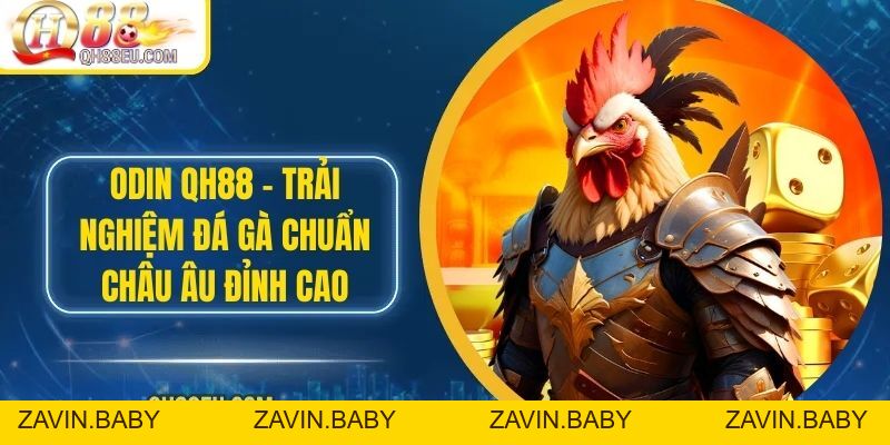 ODIN QH88 – Trải Nghiệm Đá Gà Chuẩn Châu Âu Đỉnh Cao