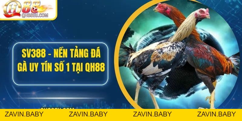 SV388 – Nền Tảng Đá Gà Uy Tín Số 1 Tại QH88