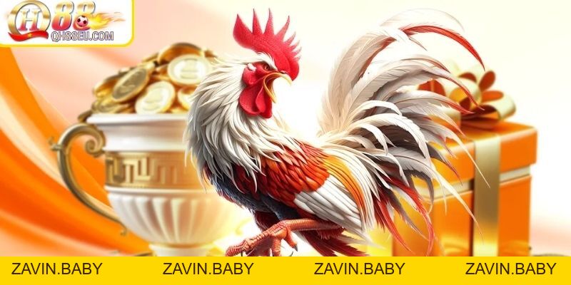 GA28 Tại QH88 – Sảnh Đá Gà Trực Tuyến Mượt Mà Nhất 2026