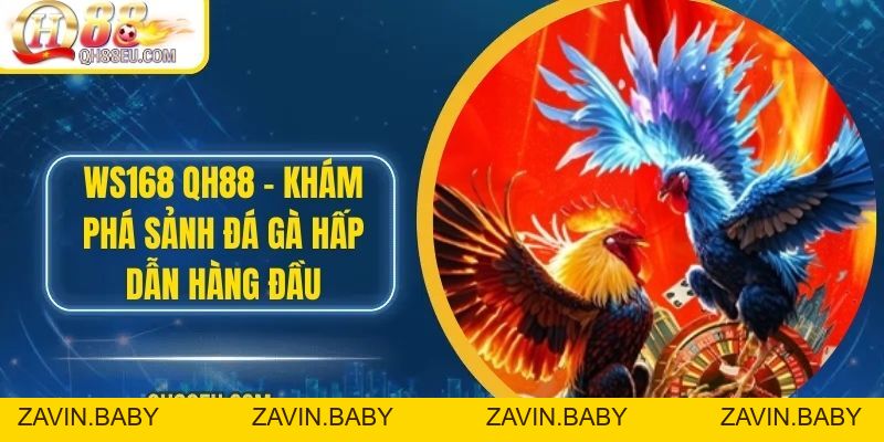 WS168 – Khám Phá Sảnh Đá Gà Hấp Dẫn Hàng Đầu Tại QH88 EU
